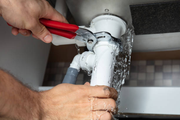 Best Basement water damage restoration  in Thatcher, AZ