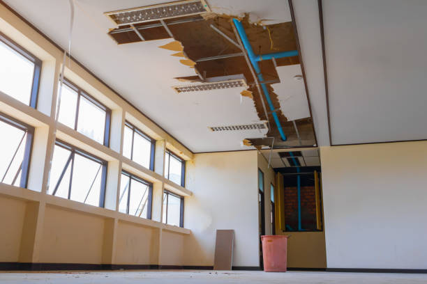 Best Professional water damage repair  in Thatcher, AZ