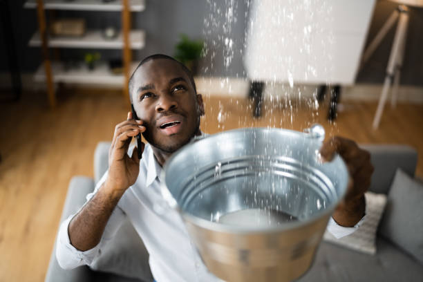 Best Local water damage restoration  in Thatcher, AZ