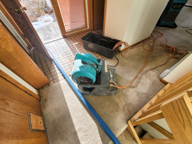 Best Carpet water damage restoration  in Thatcher, AZ