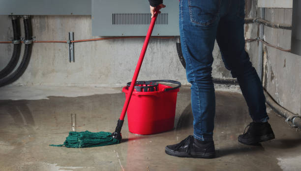 Best 24-hour water damage restoration  in Thatcher, AZ