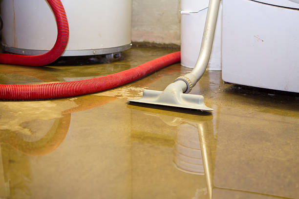 Best Emergency water damage restoration  in Thatcher, AZ