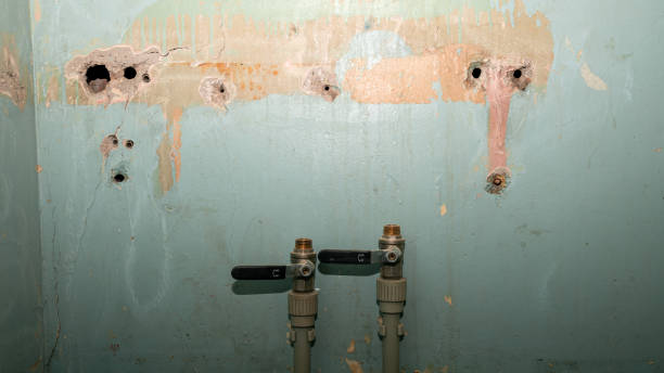 Best Flood damage cleanup  in Thatcher, AZ