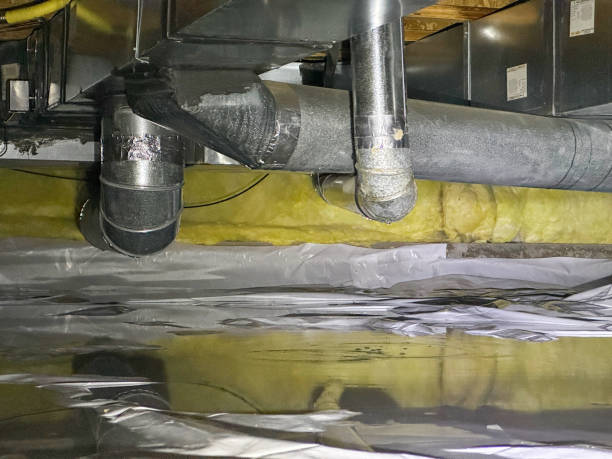 Best Commercial water damage restoration  in Thatcher, AZ