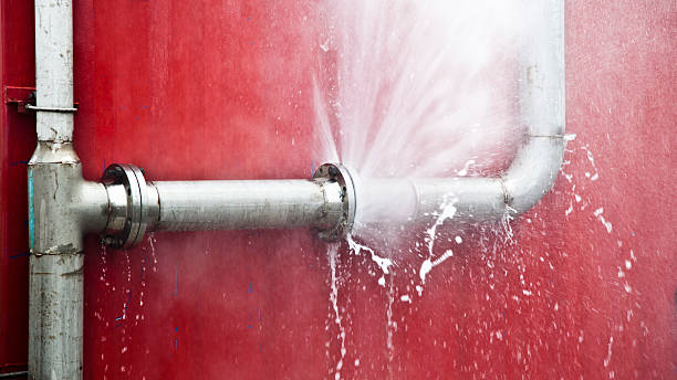 Best Flood restoration services  in Thatcher, AZ